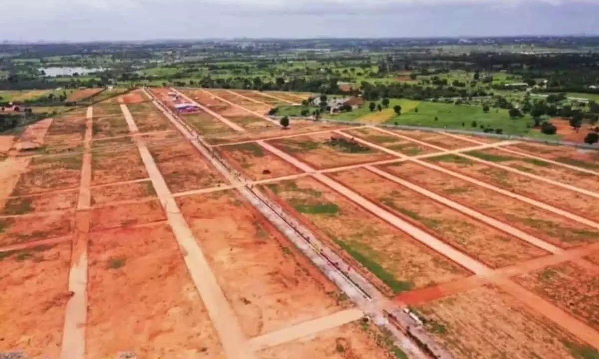 Commercial Architecture